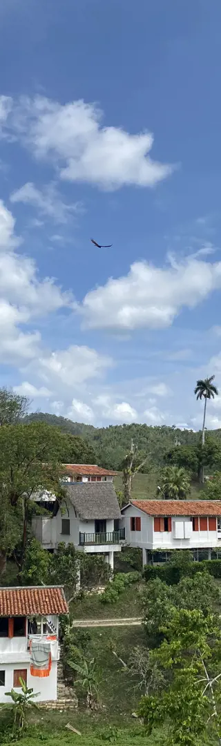 Kaffee und Kunst in Las Terrazas